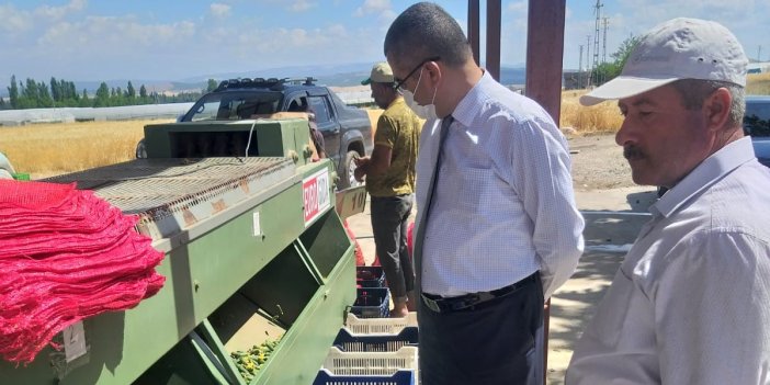 Türkoğlu’ndan Avrupa’ya turşuluk sebze ihracatı başladı