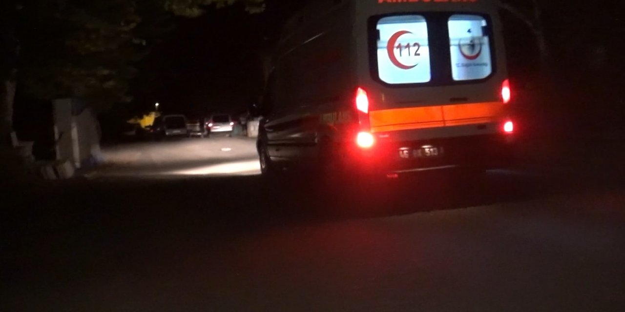 Aracını kontrol etmek isteyen güvenlik görevlisine ateş açtı