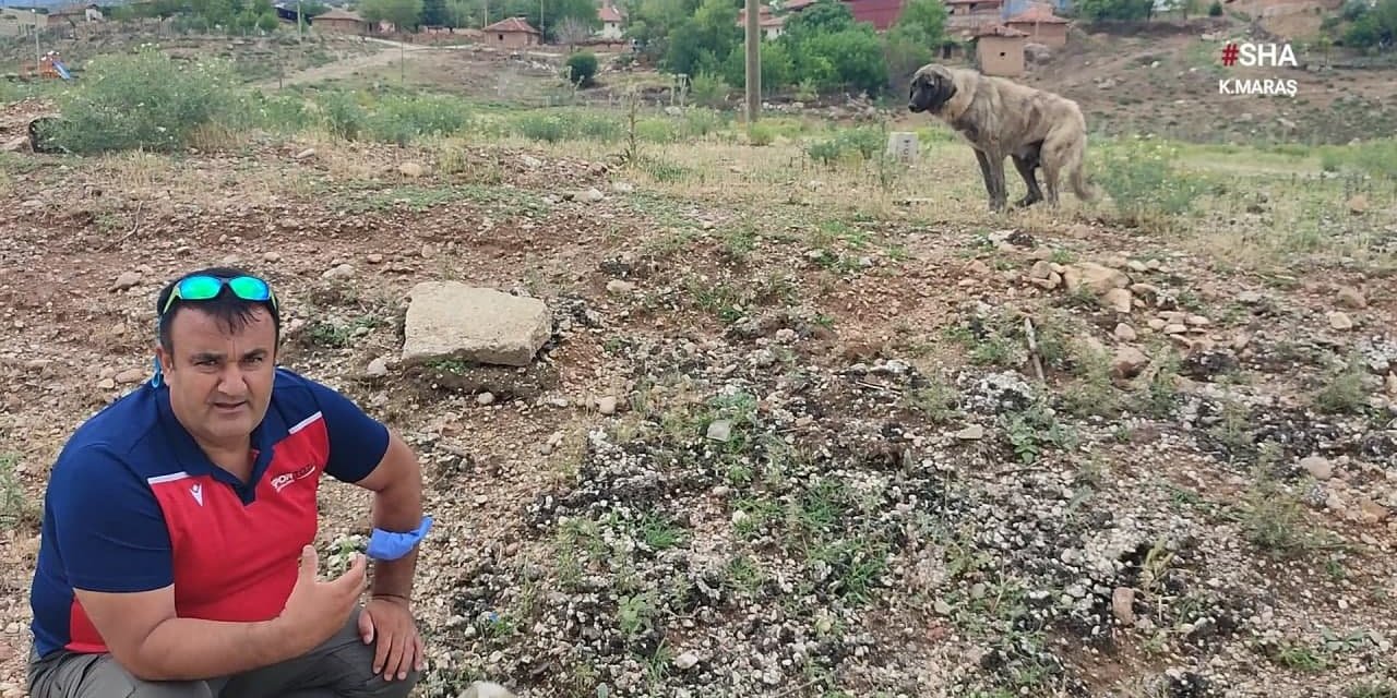 Aracın ezdiği yavrusunun yanı başından bir dakika olsun ayrılmadı 