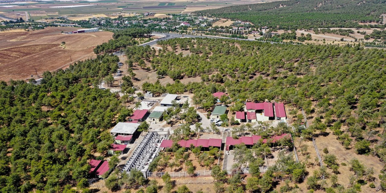 Sokak Hayvanları Rehabilitasyon Merkezinin kapasitesi artırılıyor