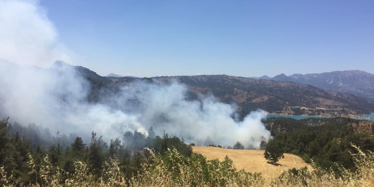 Kahramanmaraş’ta orman yangını söndürüldü 