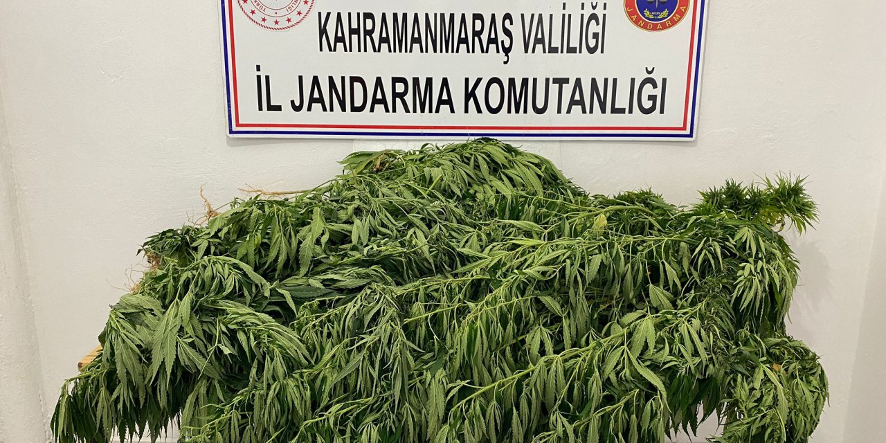 Pazarcık, Andırın, Çağlayancerit ilçelerinde uyuşturucu operasyonu