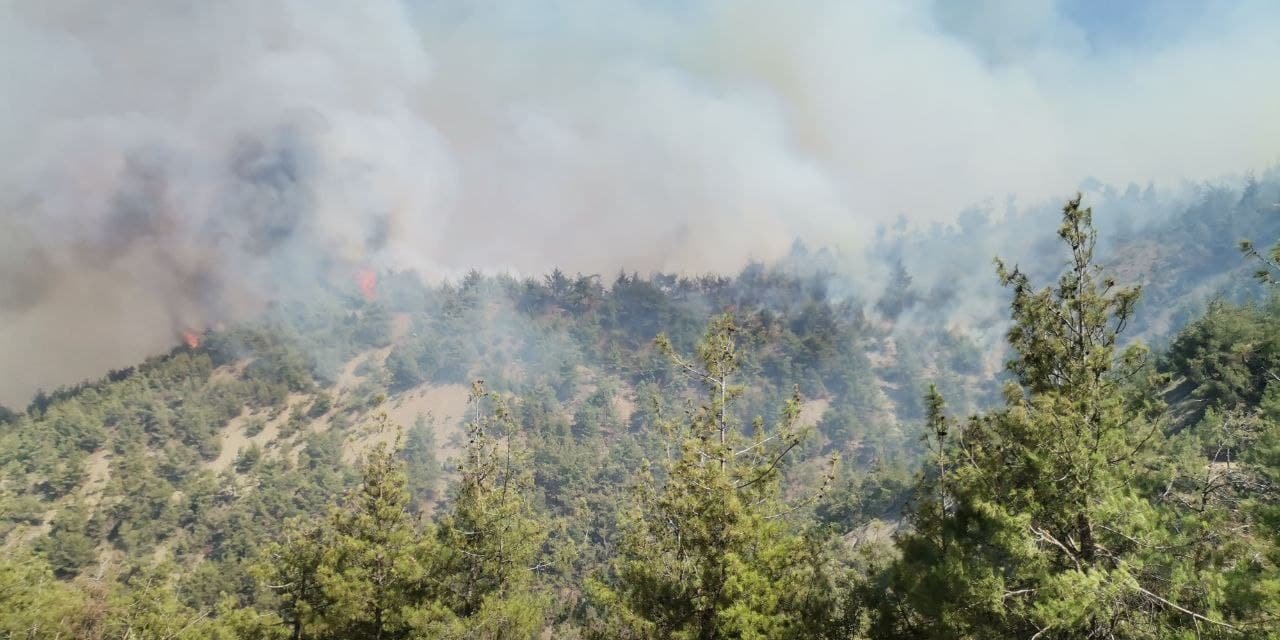 Kahramanmaraş’ta orman yangını