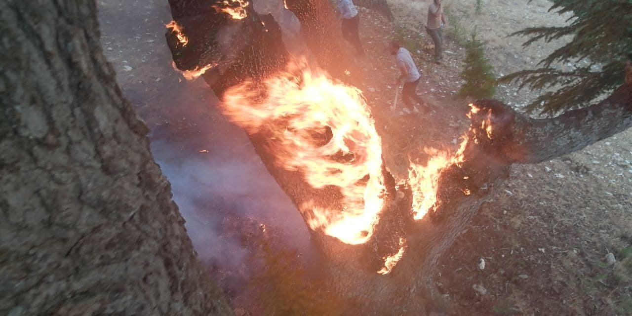 Kahramanmaraş’ta vatandaşların zamanında müdahalesi faciayı önledi