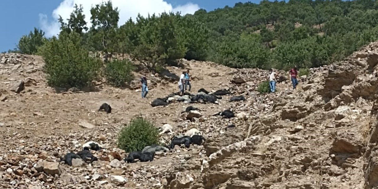 Kahramanmaraş´ta yıldırım düşmesi sonucu 45 keçi telef oldu