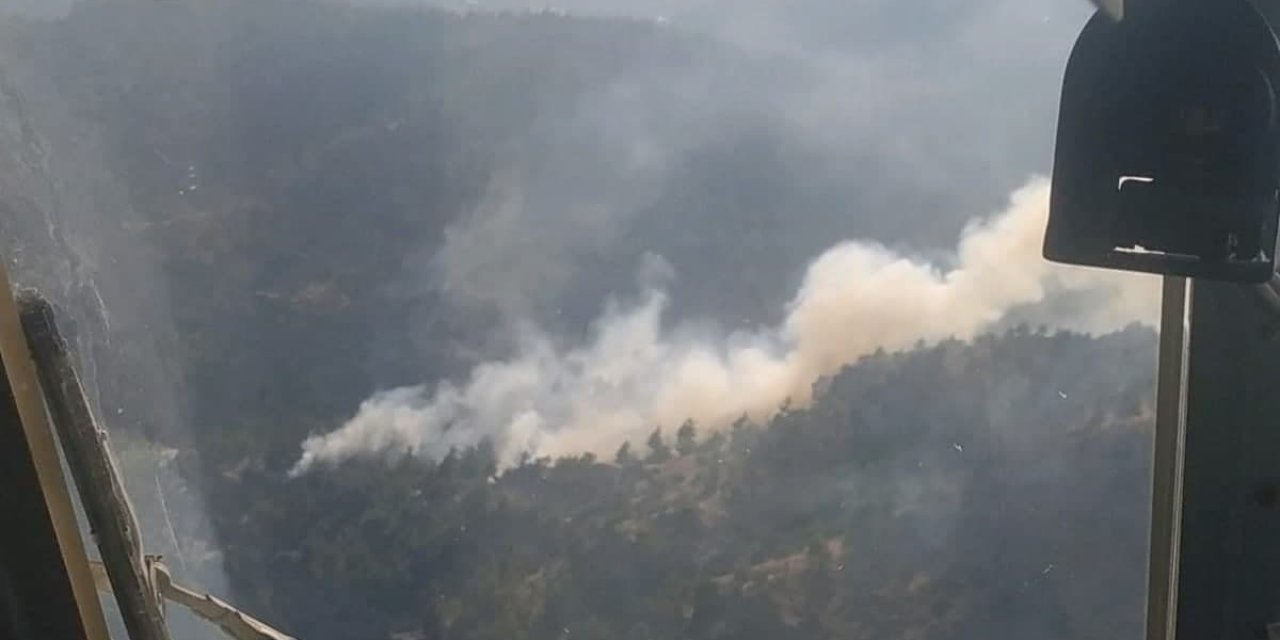 Kahramanmaraş’ta orman yangını