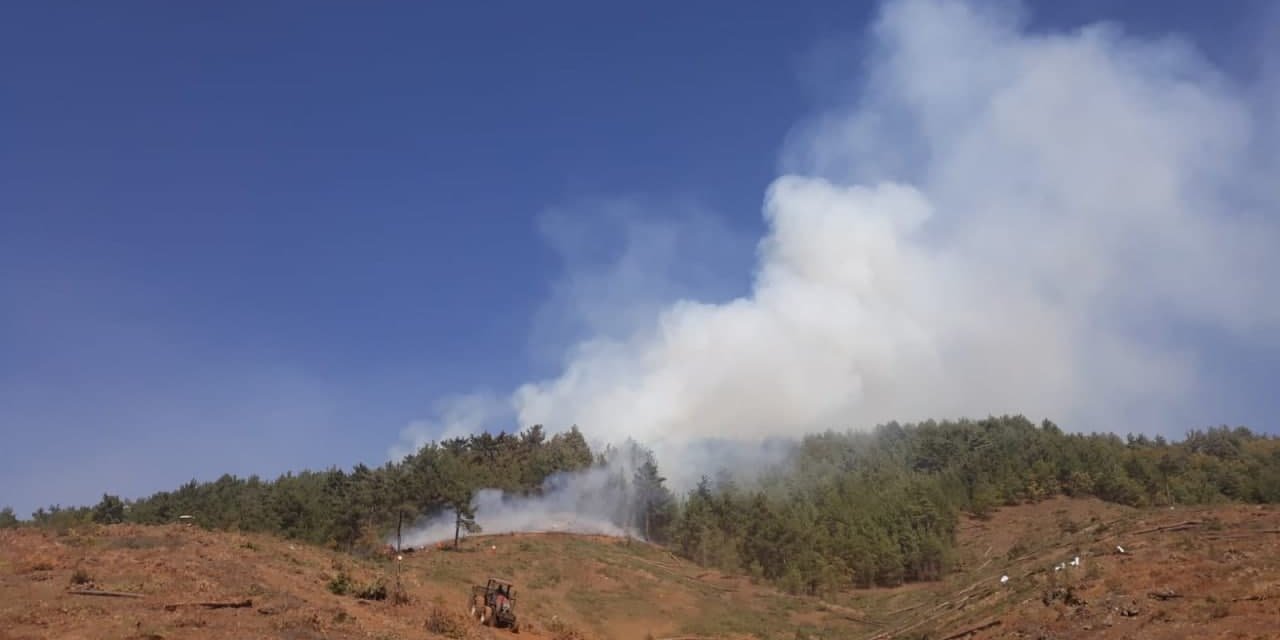 Kahramanmaraş’ta orman yangını 