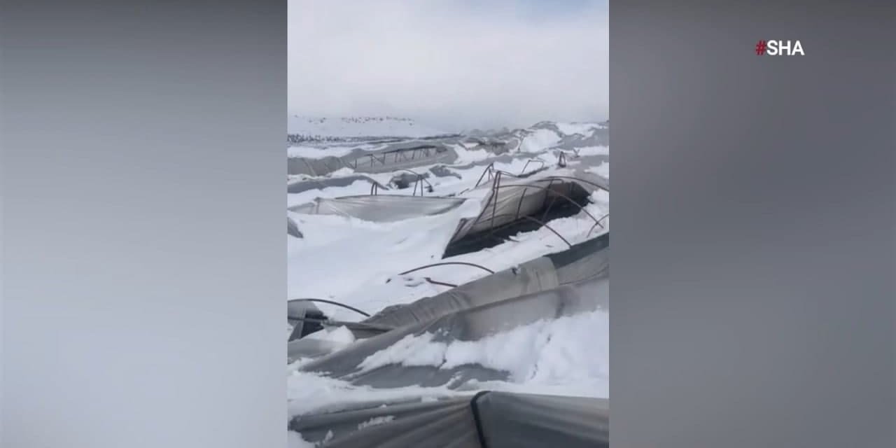 Kahramanmaraş’ta yoğun kar seraları vurdu 