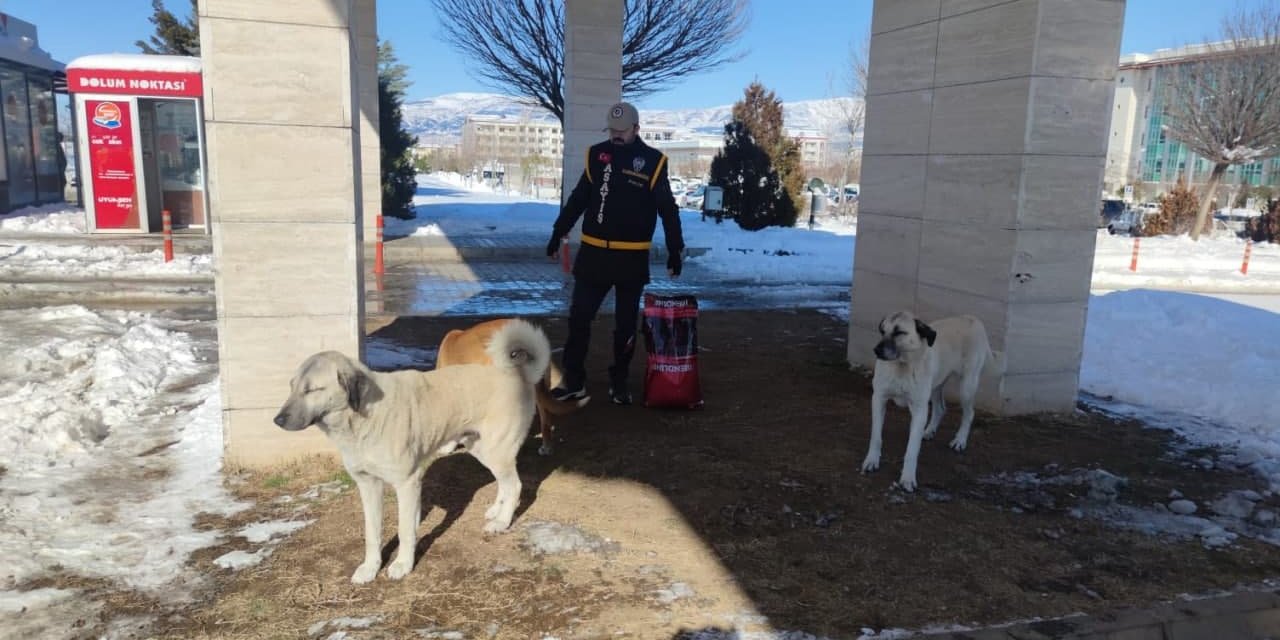 Kahramanmaraş'ta polis sokak hayvanlarını yalnız bırakmadı