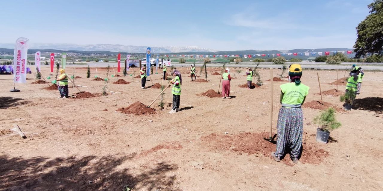 Orman yangınlarında mahkumlar da görev alacak 