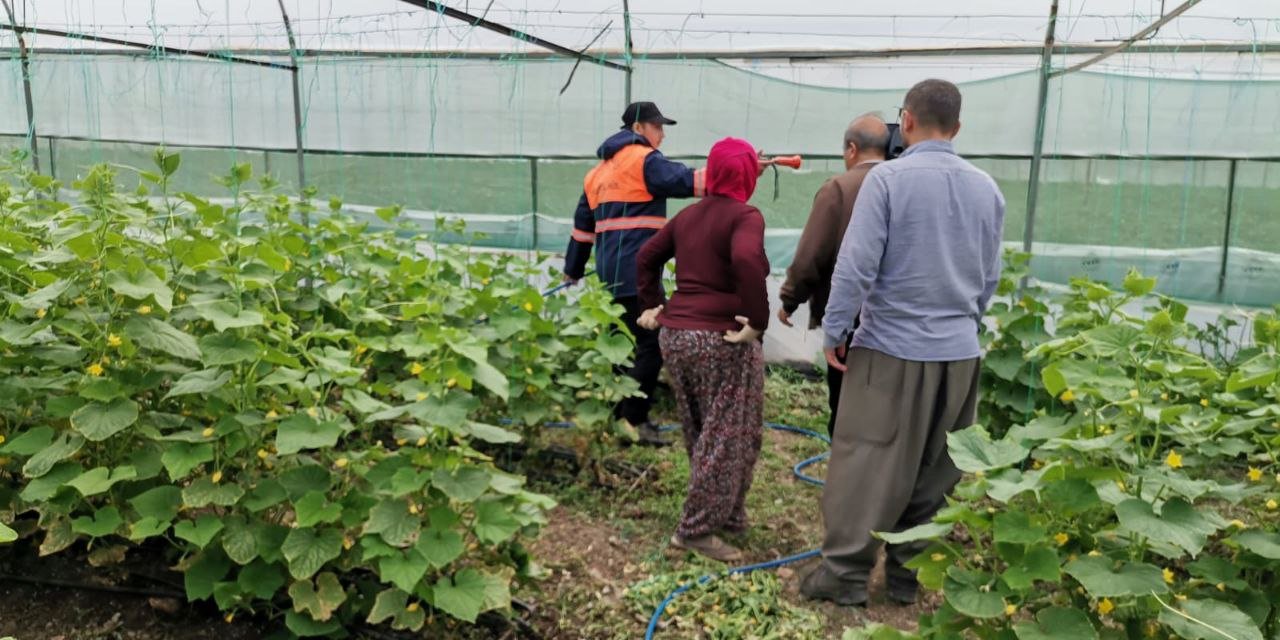 Kahramanmaraş’ta  seraları zarar gören çiftçilere 18 milyon destek 