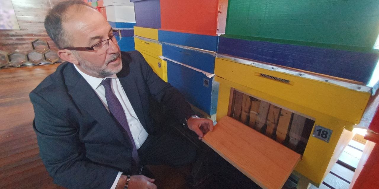 Türkiye'nin İlk Arı Evi Afşin'de Açıldı 