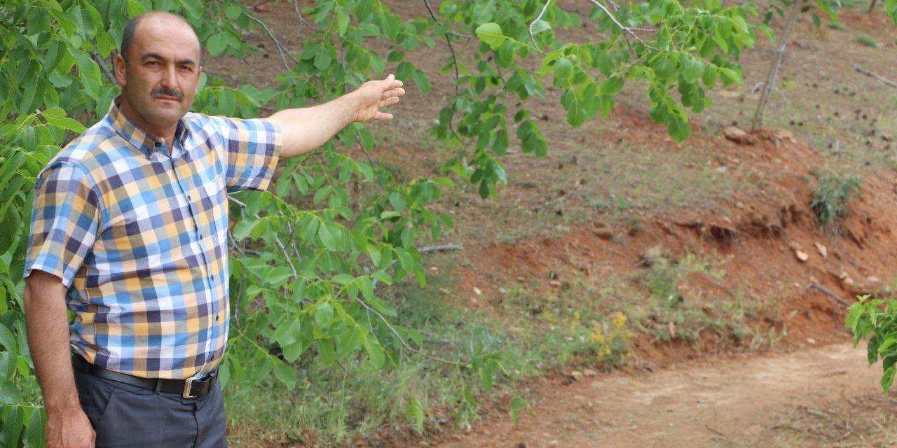 Kahramanmaraş’ta orman yolu mahalleyi karıştırdı  