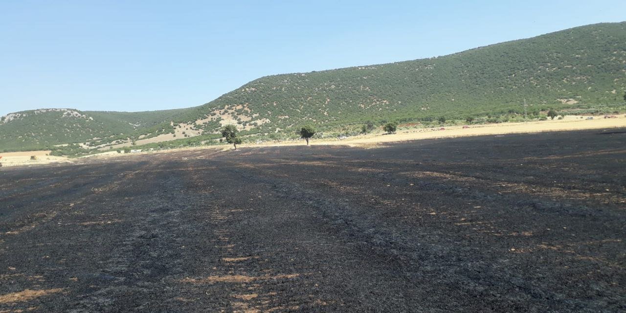 Kahramanmaraş’ta buğday tarlası kül oldu