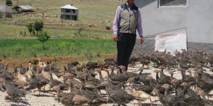 Hindi İşletmesi Ziyaret Edildi