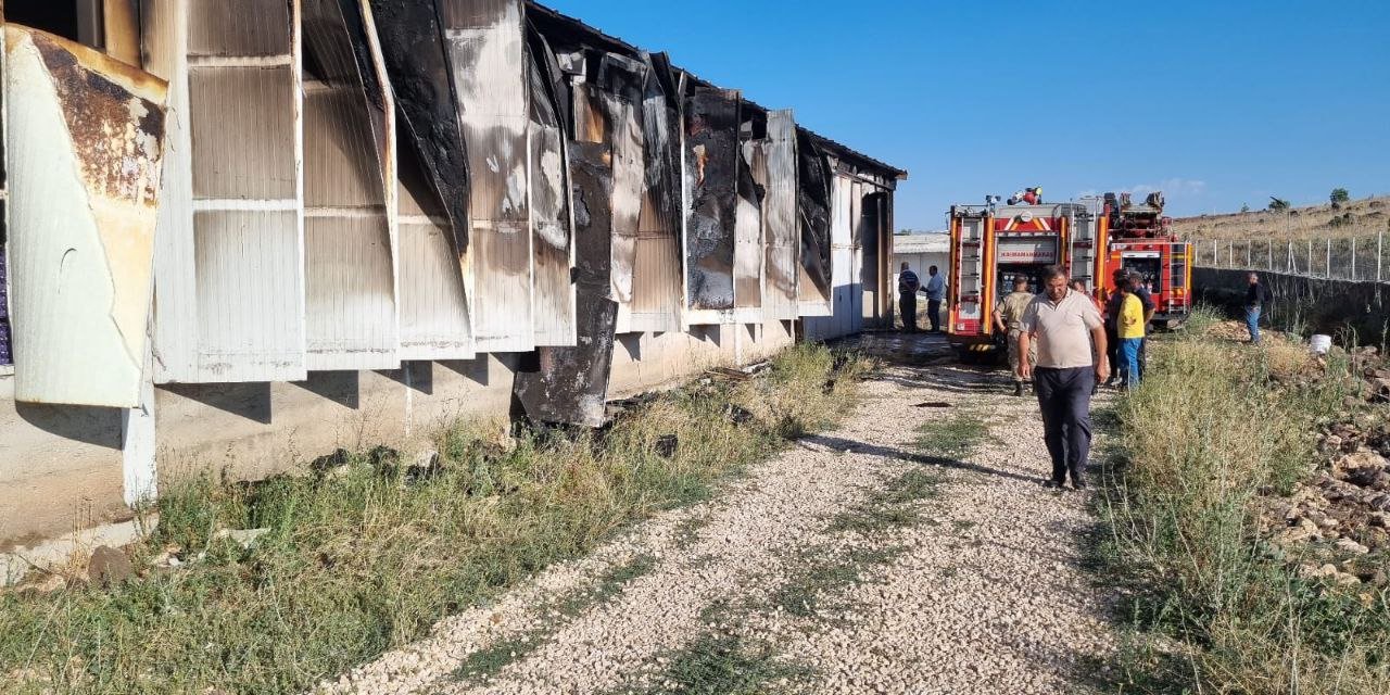 Kahramanmaraş’ta yangında 60 bin tavuk telef oldu  