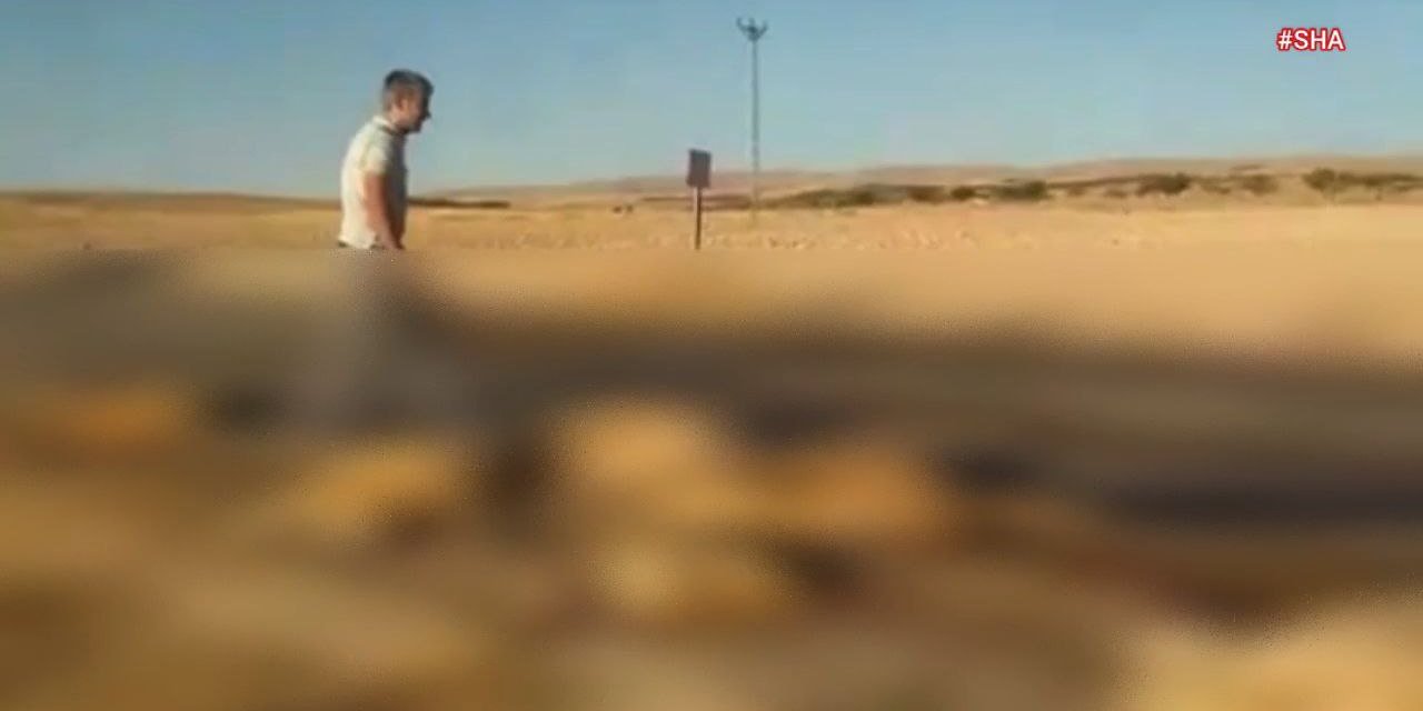 Kahramanmaraş’ta çekici koyun sürüsüne çarptı  