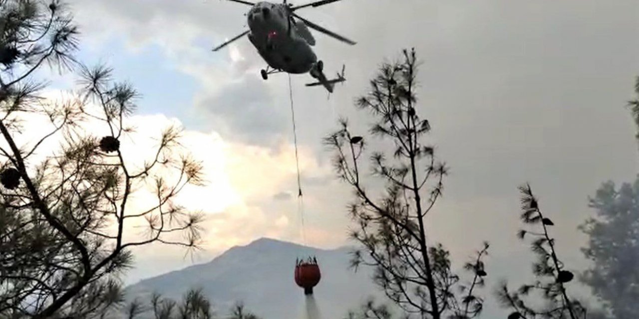 Kahramanmaraş’ta orman yangını  