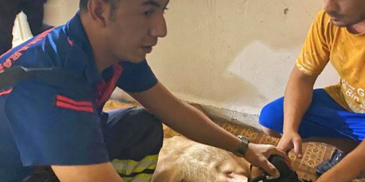 Kahramanmaraş’ta itfaiye erinin müdahalesiyle hayata tutundu  