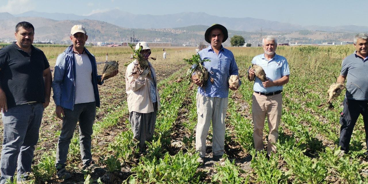 Kahramanmaraş’ta 14 bin 500 ton şeker üretimi  