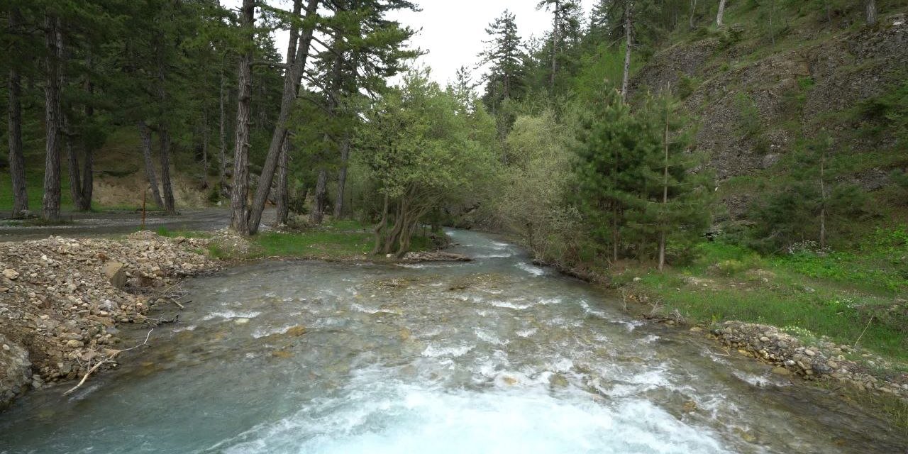 Kahramanmaraş’ta görenleri hayran bırakıyor  