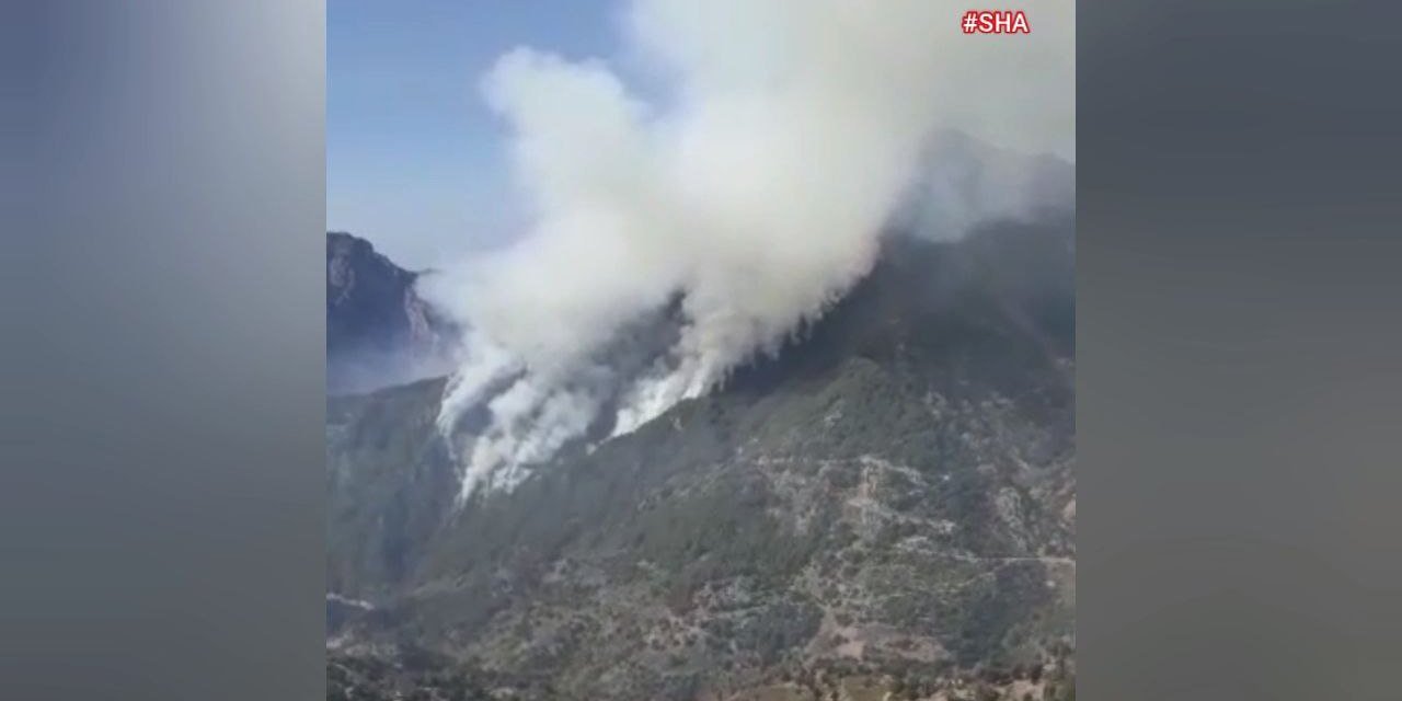 Osmaniye-Kahramanmaraş sınırında orman yangını 