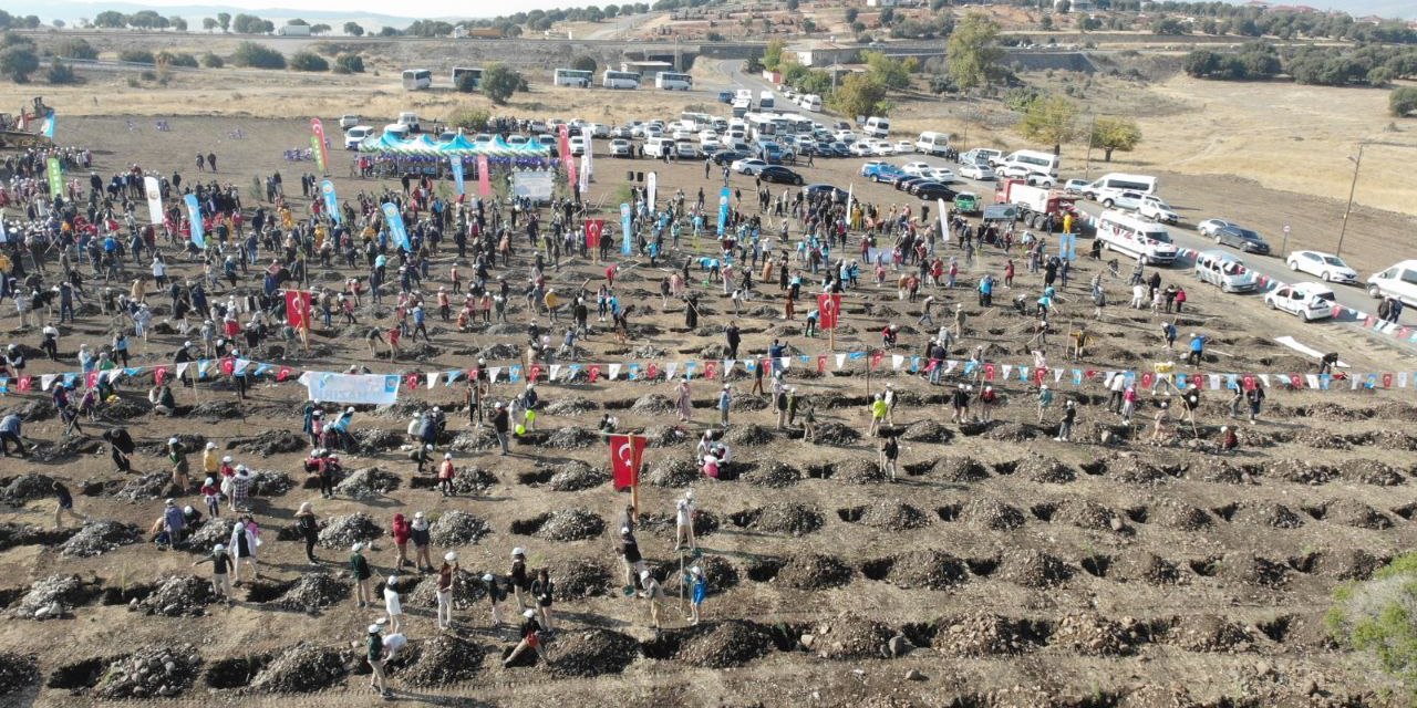 Kahramanmaraş’ta 10 bin fidan toprakla buluştu