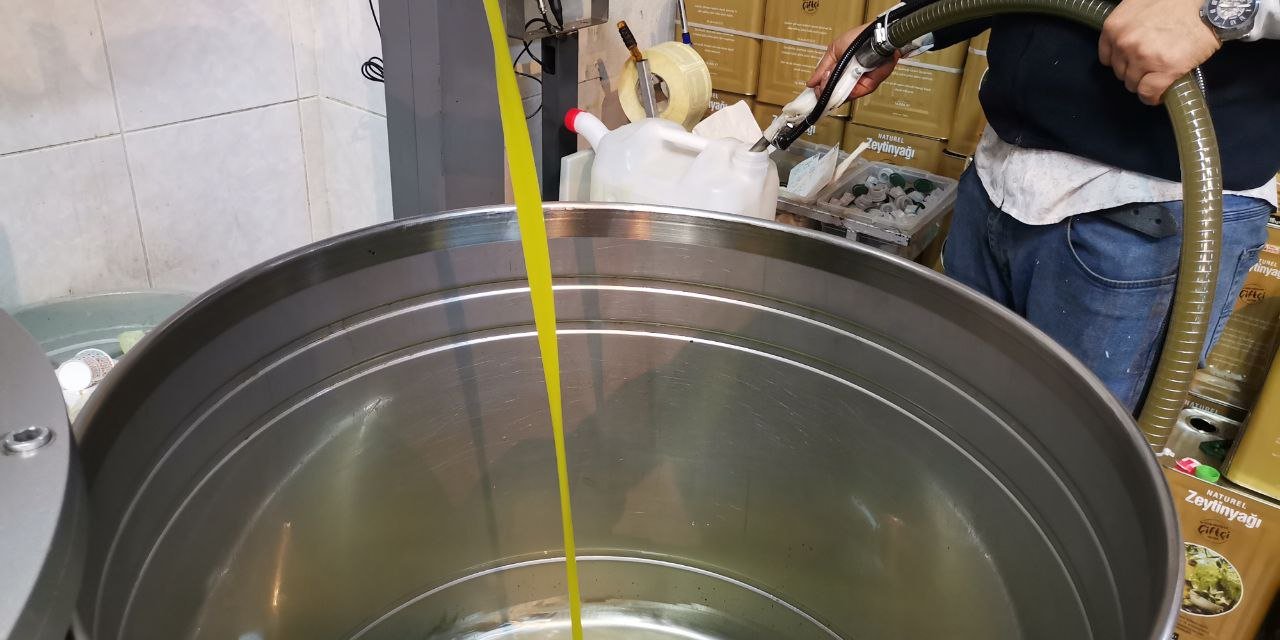 Kahramanmaraş zeytinyağının sofraya yolculuğu başladı 