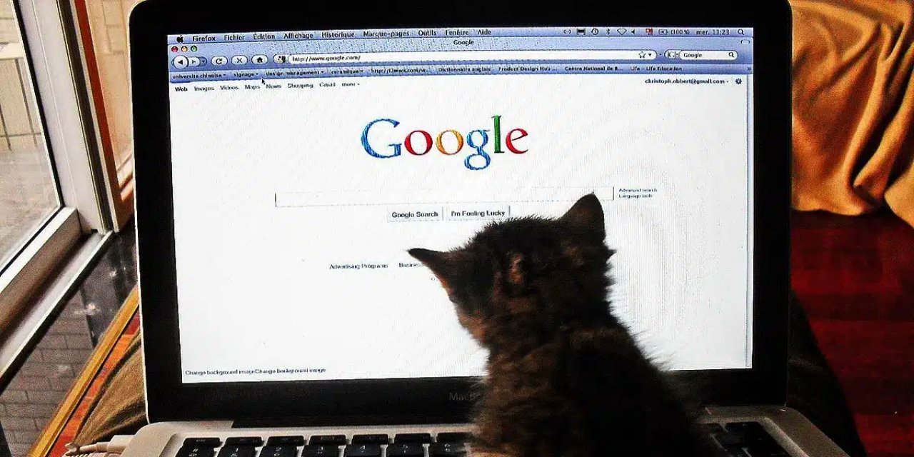 Google 2022 arama trendleri: Türkiye’de en çok aranan kelimeler!