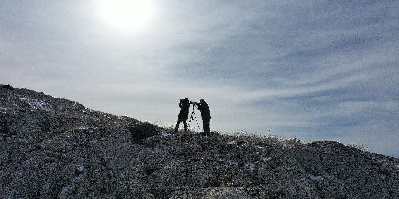 Kahramanmaraş’ta koruma altındaki hayvanları avlayanlara ceza yağdı