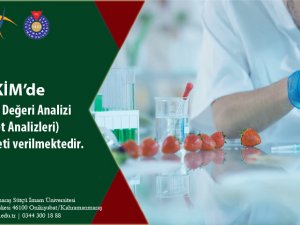 KSÜ Laboratuvarlarında Besin Analizleri Yapılıyor