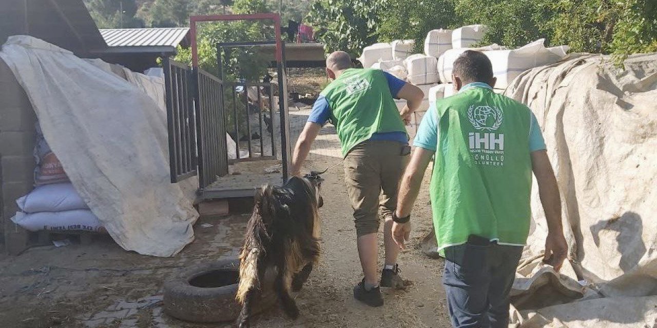 İHH’dan depremde yetim kalan ailelere canlı kurban bağışı