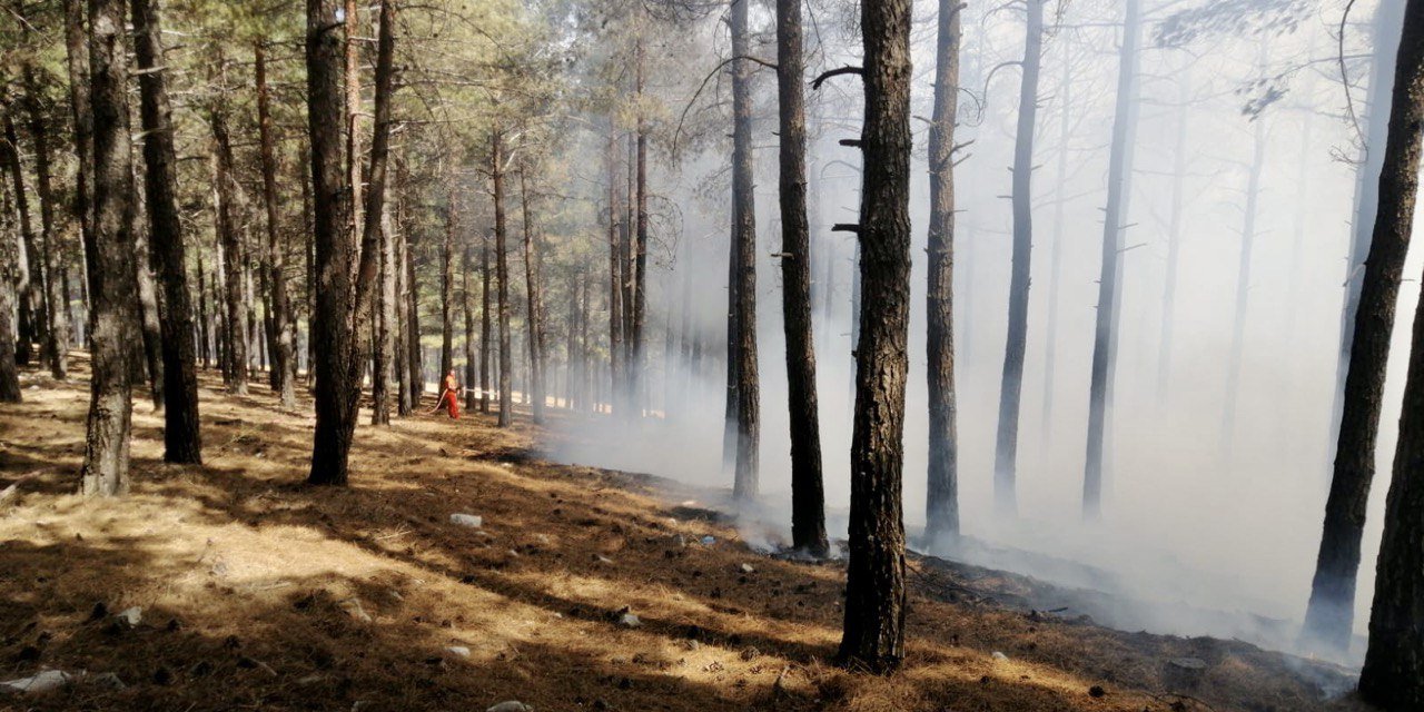 Kahramanmaraş’ta orman yangını  