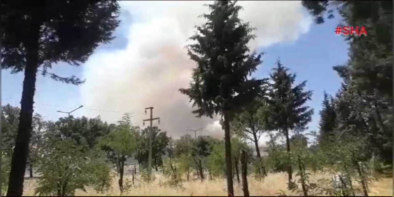 Kahramanmaraş'ta orman yangını 