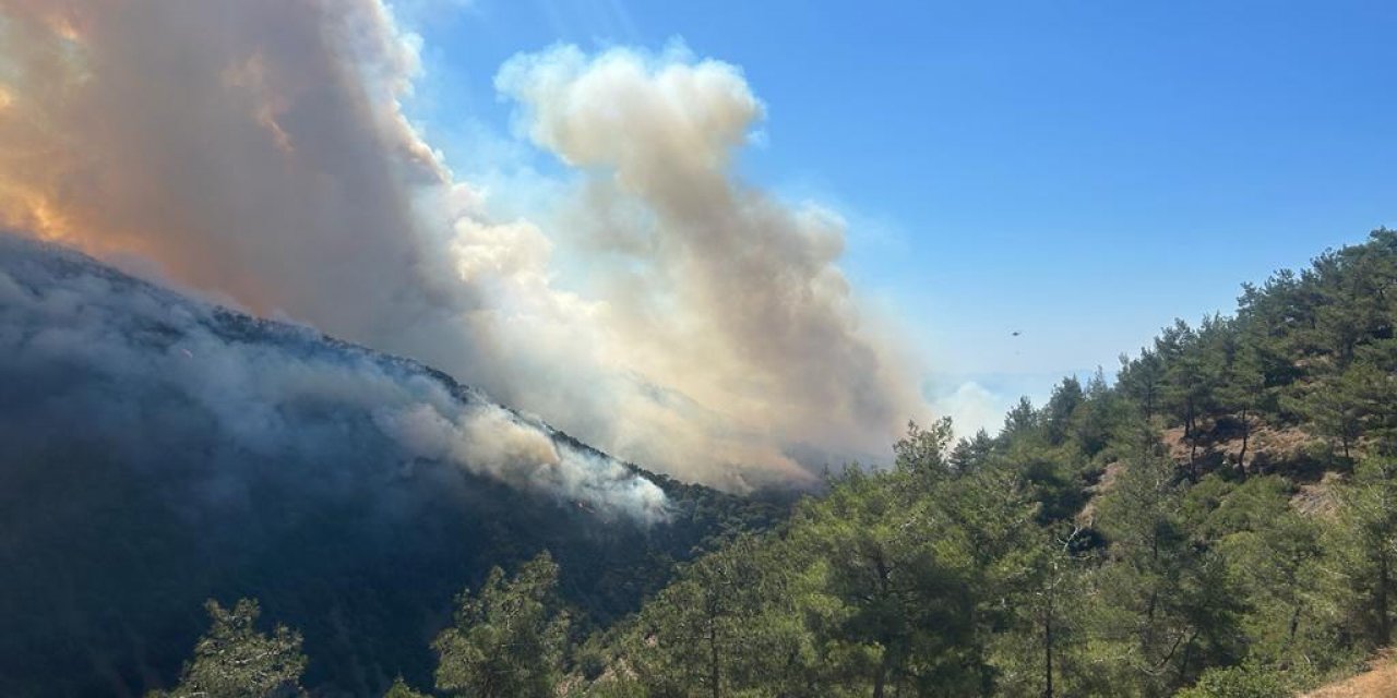 Hatay ve Osmaniye’de orman yangını 
