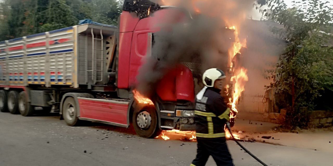 Park halindeki TIR alev alev yandı