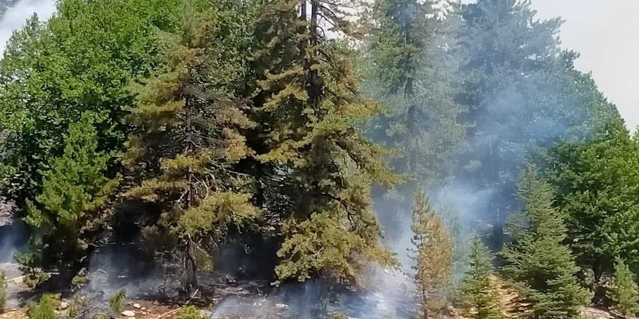 Kahramanmaraş’ta orman yangını kontrol alınmaya çalışılıyor  