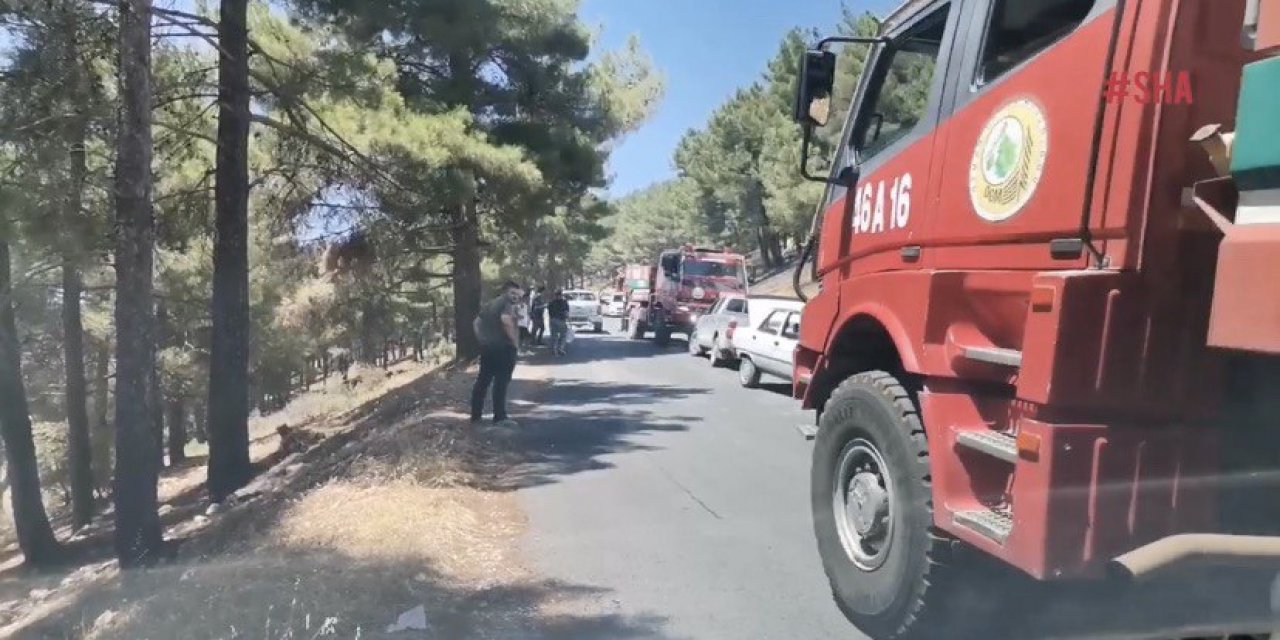 Orman yangını kontrol altına alındı