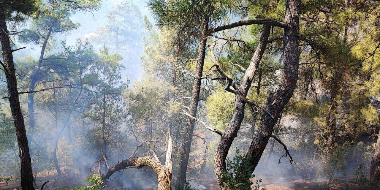 Kahramanmaraş’ta örtü yangını korkuttu