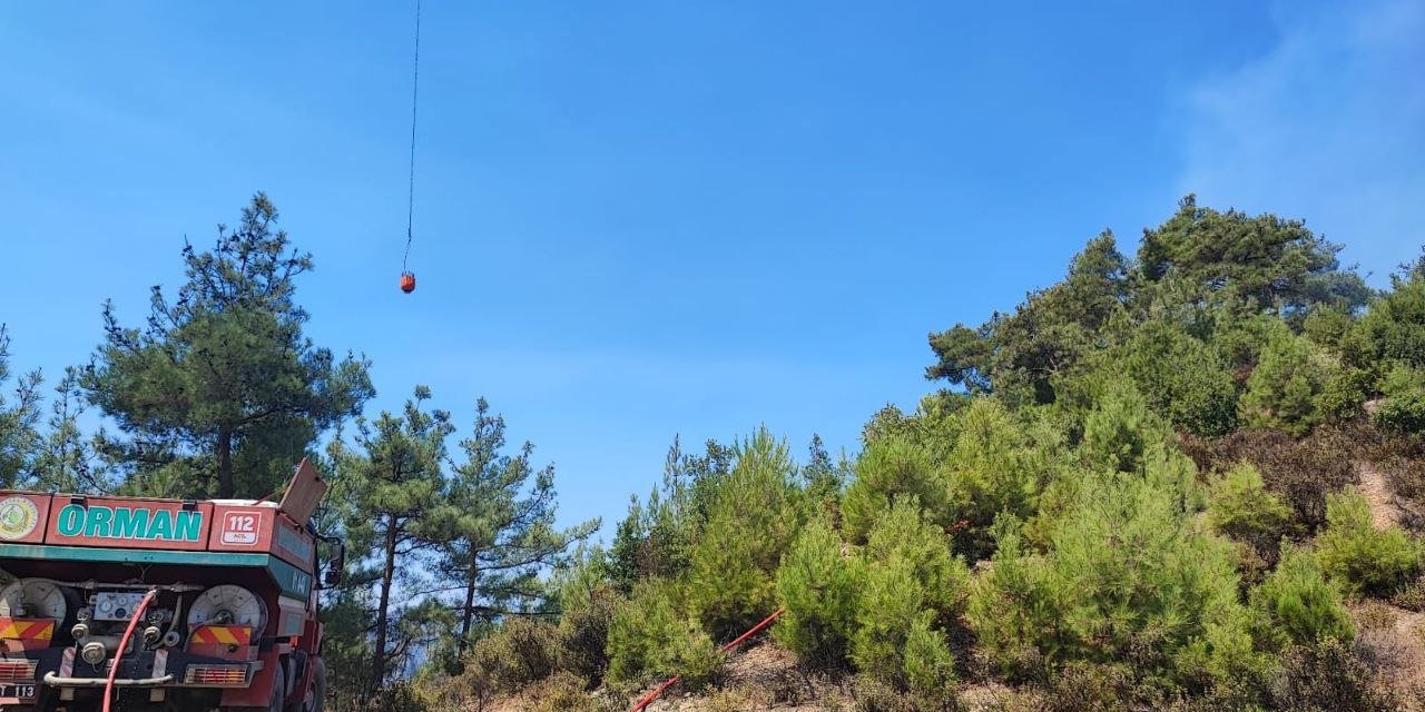Adana Feke'de orman yangını