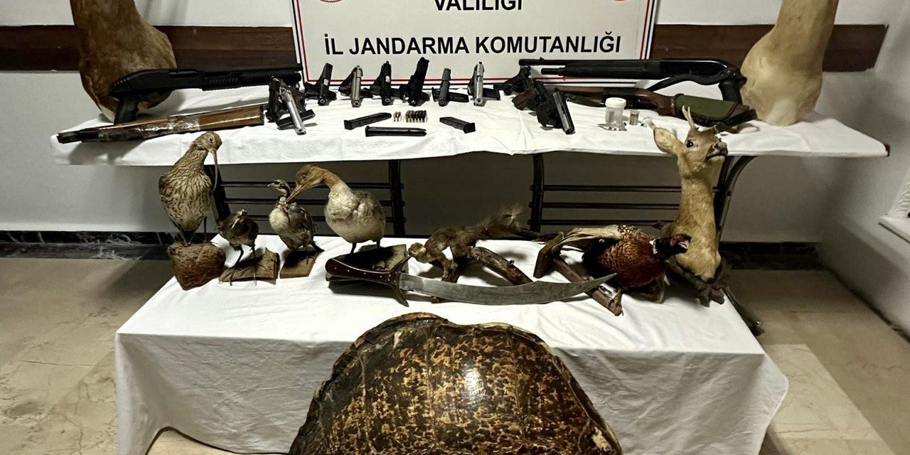 Ev değil cephanelik!