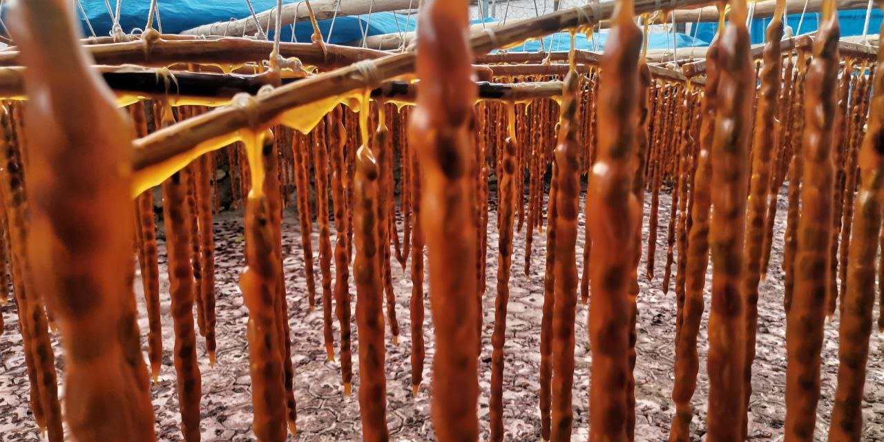 Deprem Bölgesinde Şıra Üretimi Başladı  