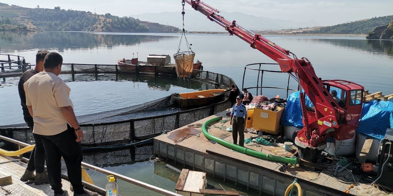 Kahramanmaraş alabalık üretiminde ilk sıralarda! 