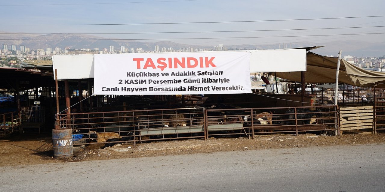 Adaklık Satış Merkezi Canlı Hayvan Borsası’na Taşınıyor!