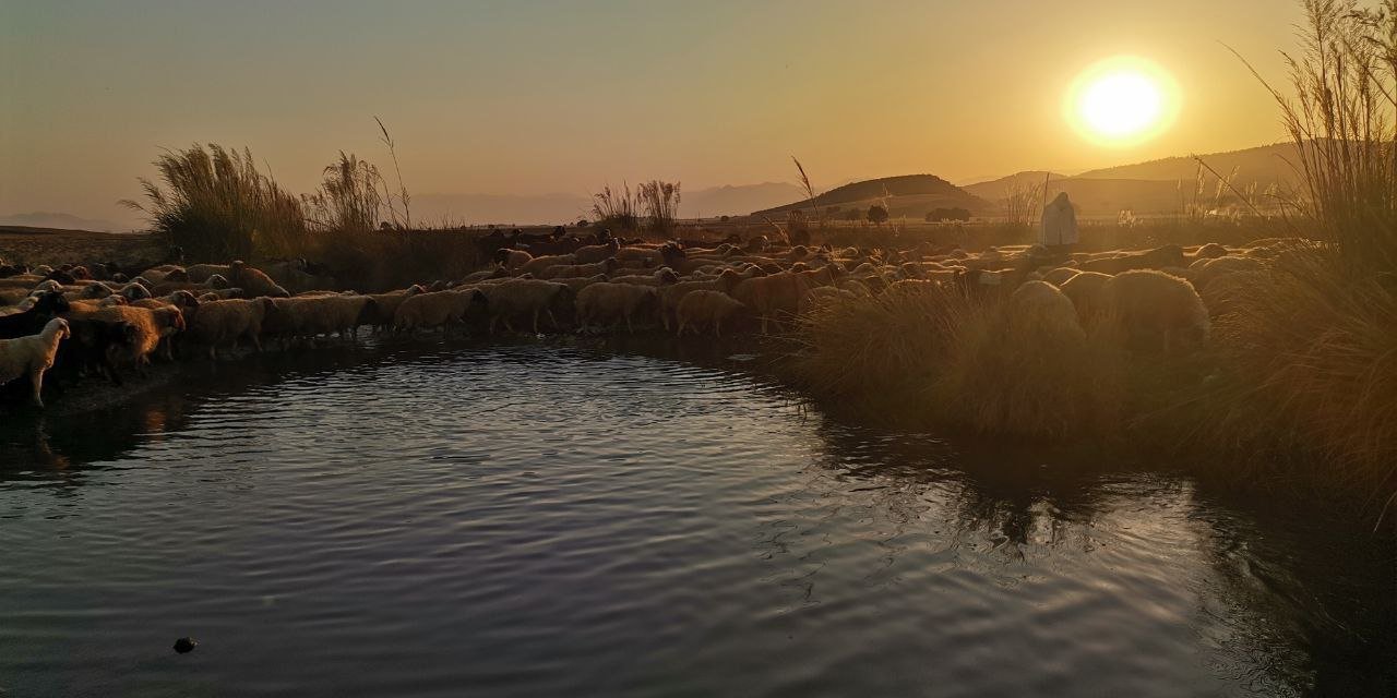 Kahramanmaraş’ta göçerler dönüş yolunda  