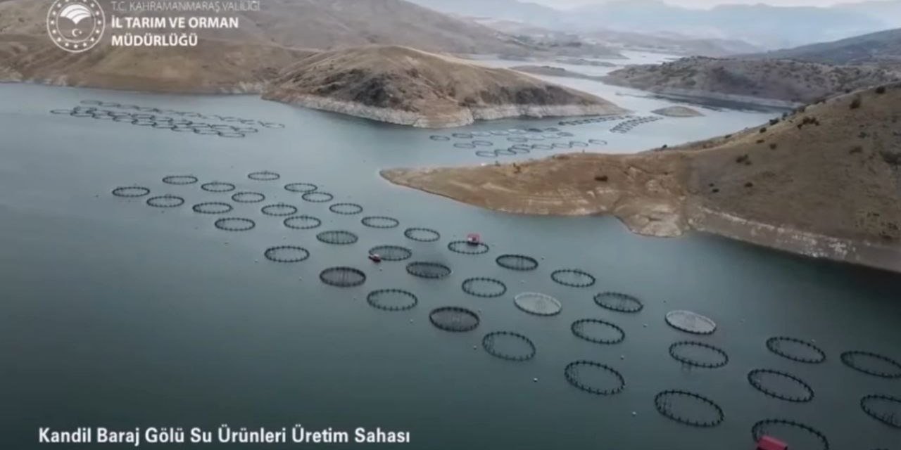 Kahramanmaraş’ta yıllık üretimi 17 bin tona ulaştı  