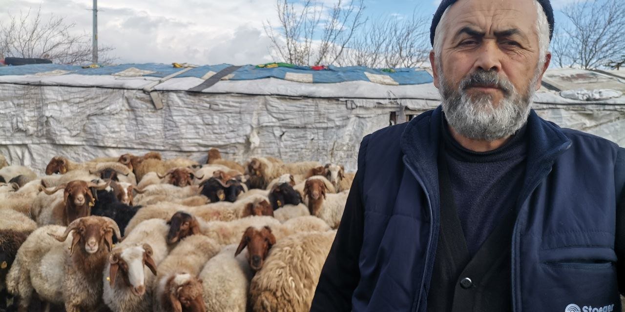 Kahramanmaraş’ta 30 bin lira ücretle çoban arıyor 