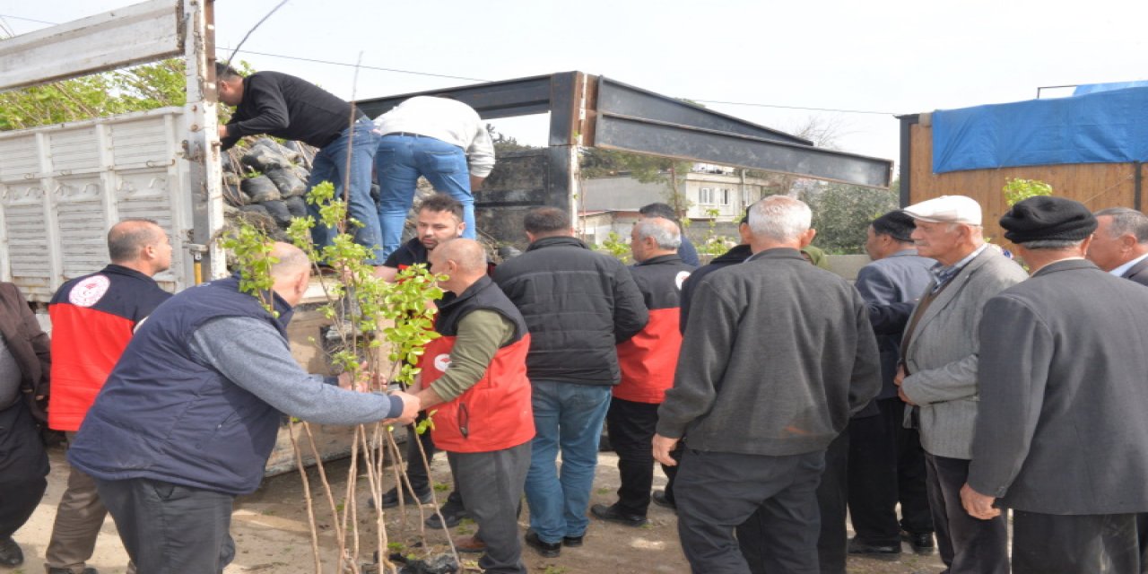 Trabzon Hurması Fidanı Dağıtımı Gerçekleştirildi