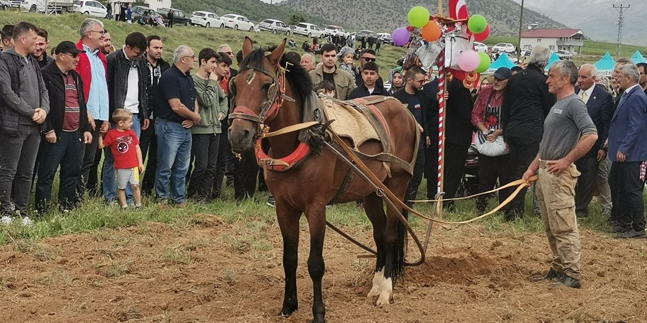 Kahramanmaraş’ta Dağıstanlılar kara sabanla öküz koştu  