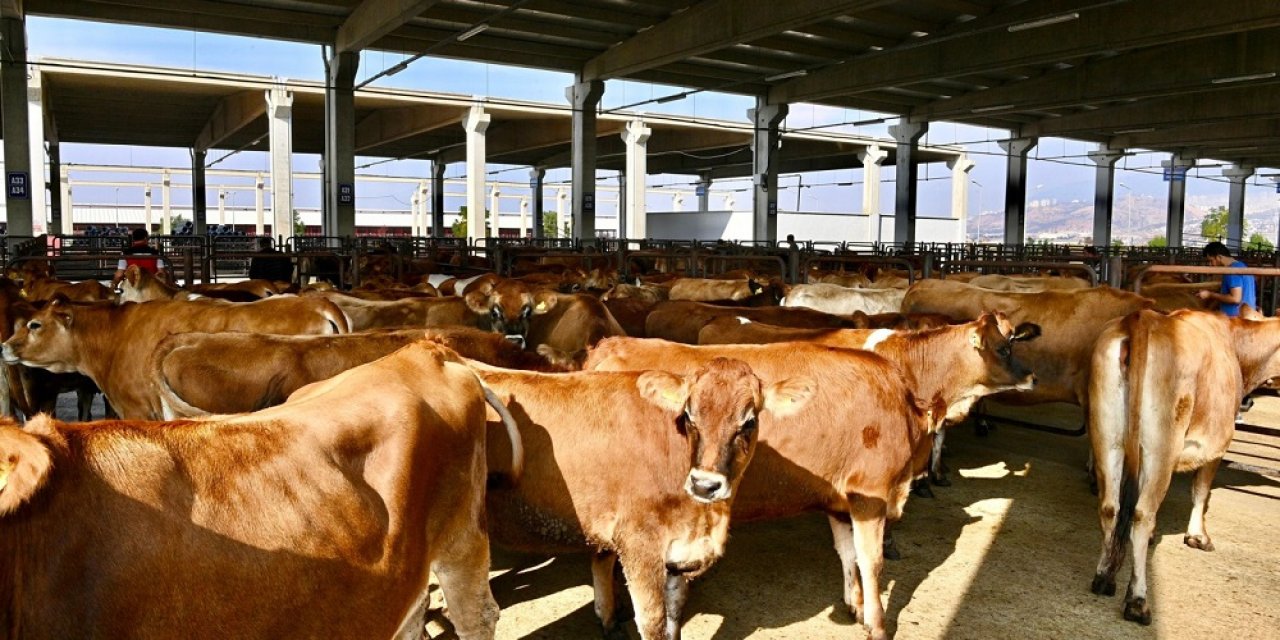 Padok Kiralama İşlemleri 27 Mayıs’ta Başlayacak!
